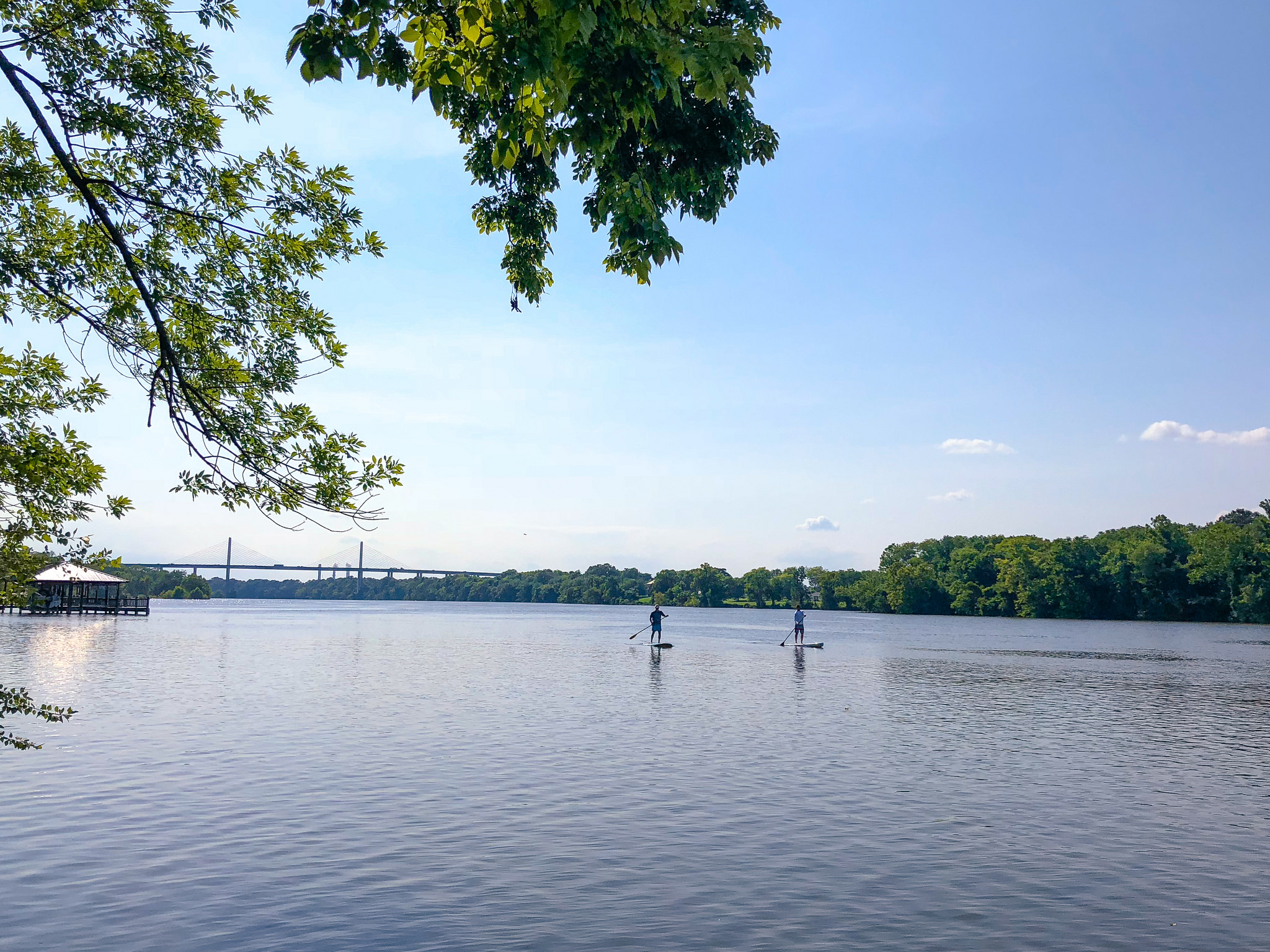 homes for sale in meadowville landing chester va