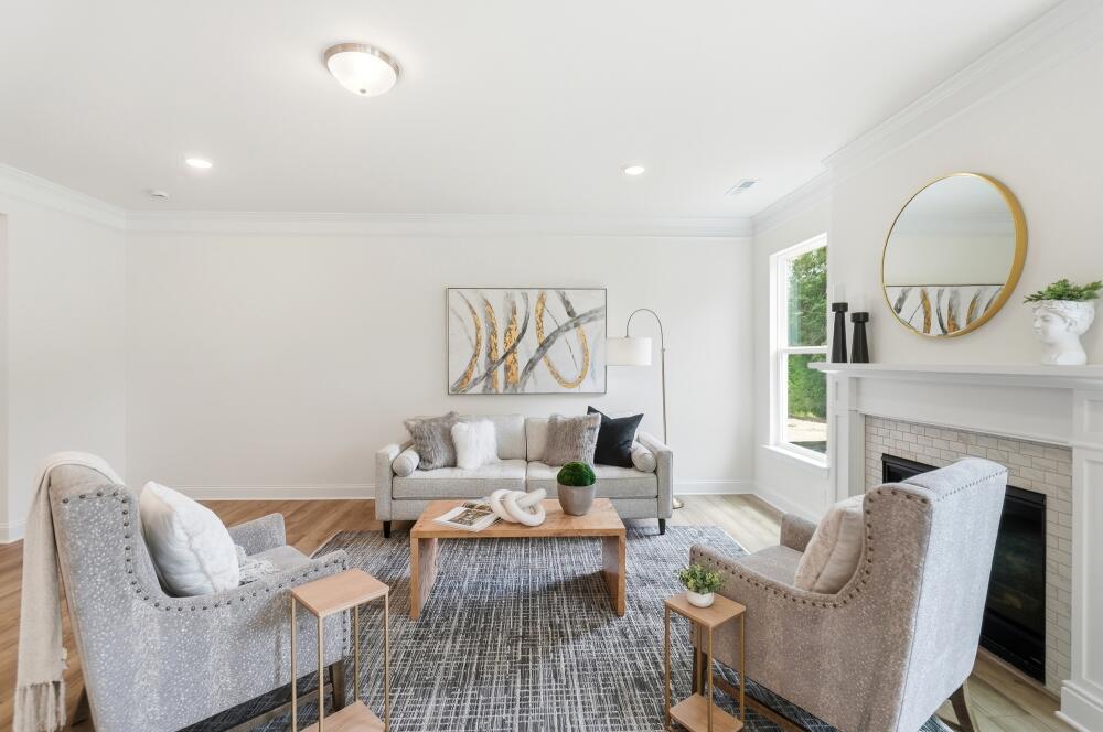 Elegant Open Living Layout