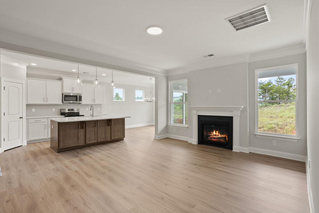 Kitchen and Great Room