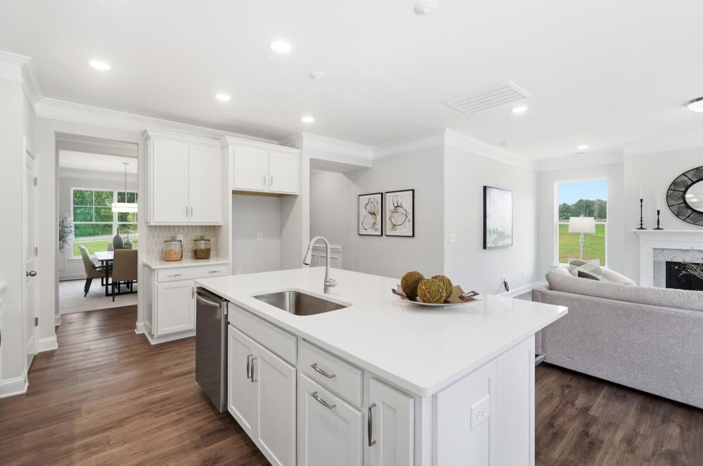 Modern Gourmet Kitchen