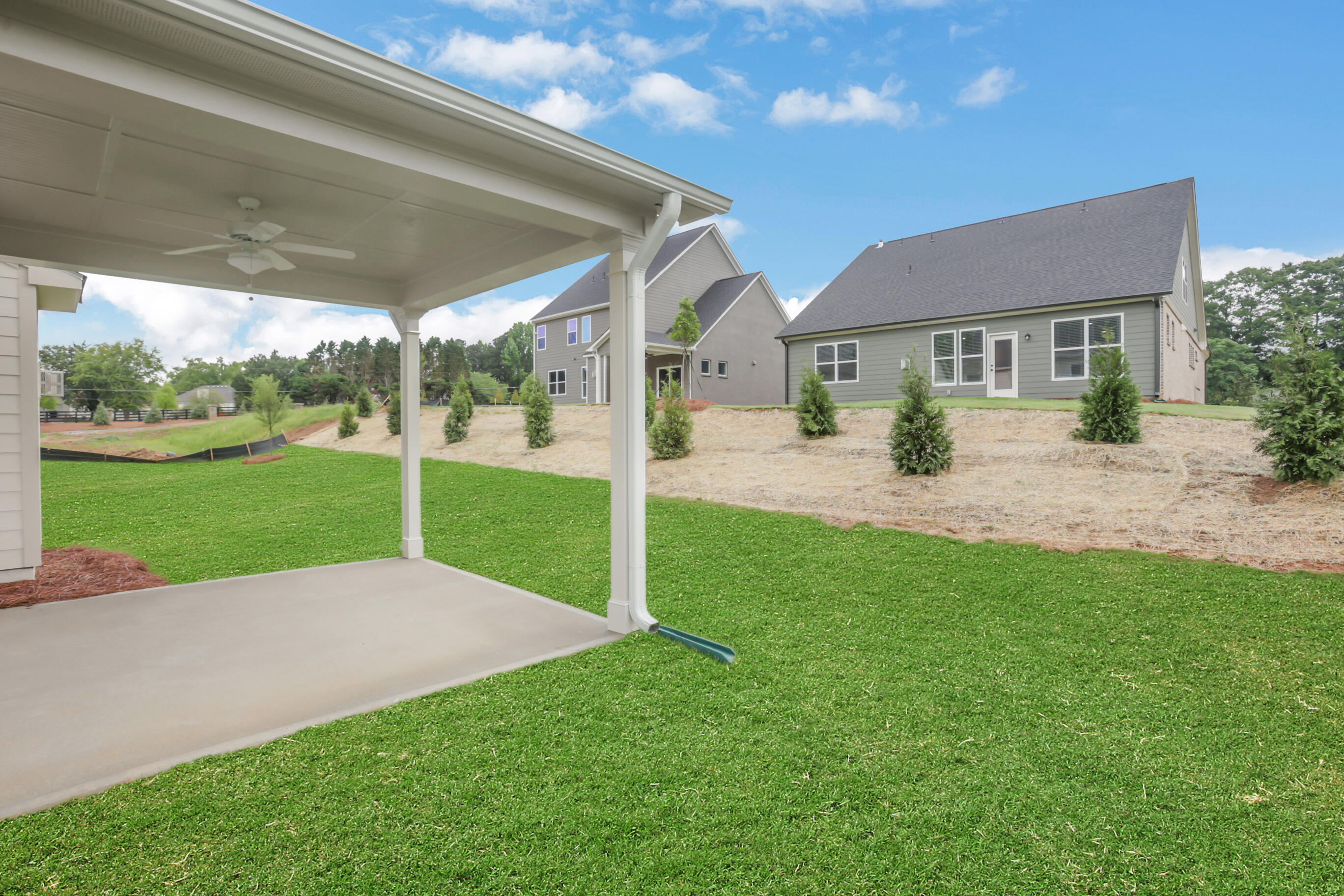 Backyard patio