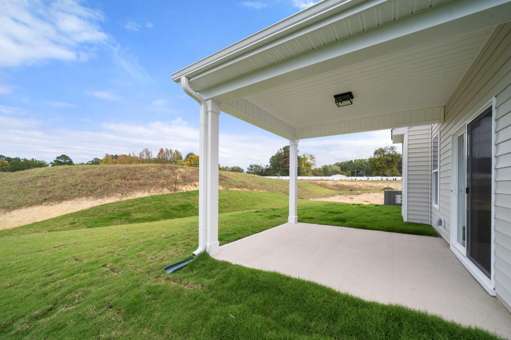 Backyard Patio