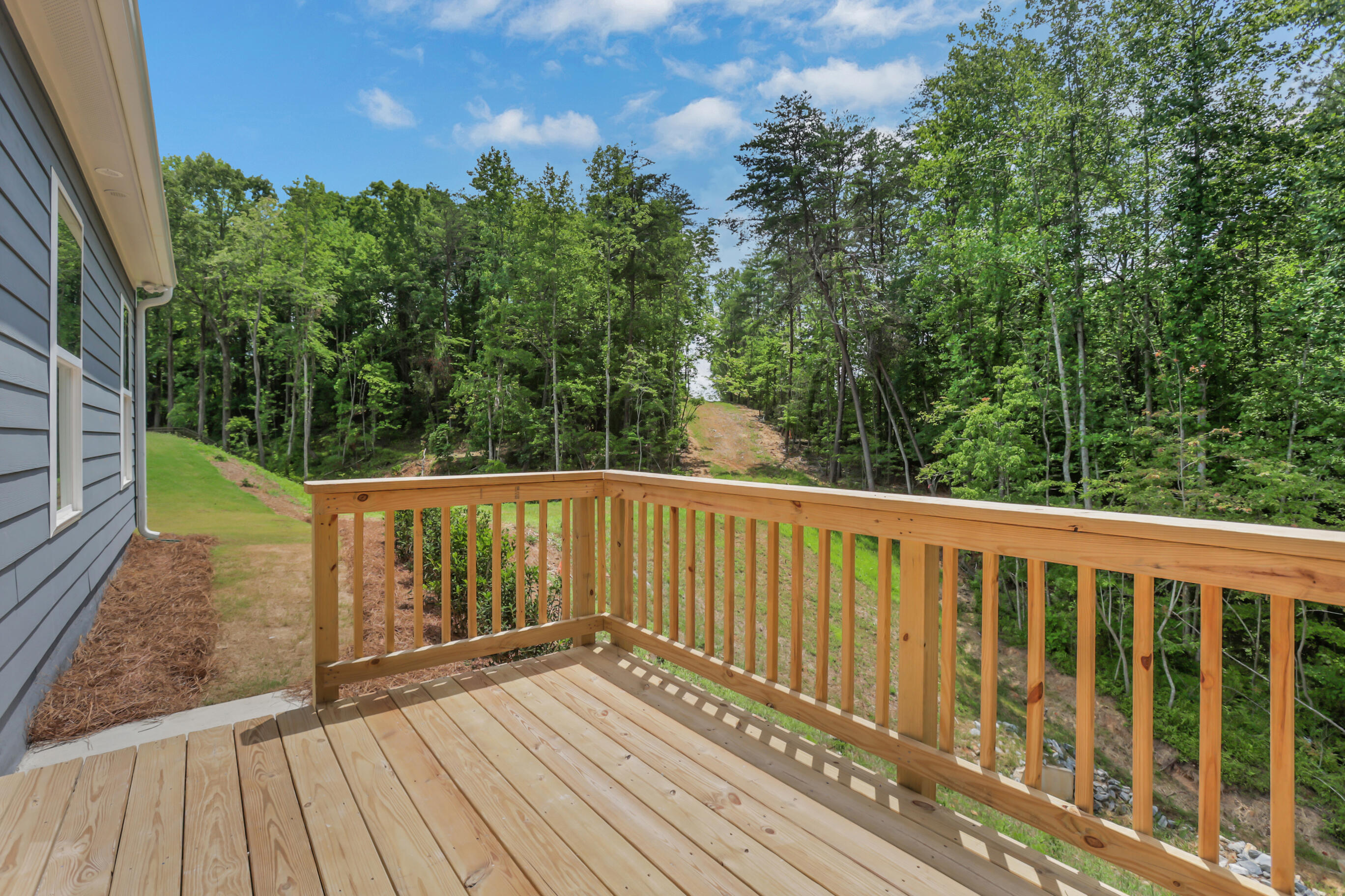 Backyard porch