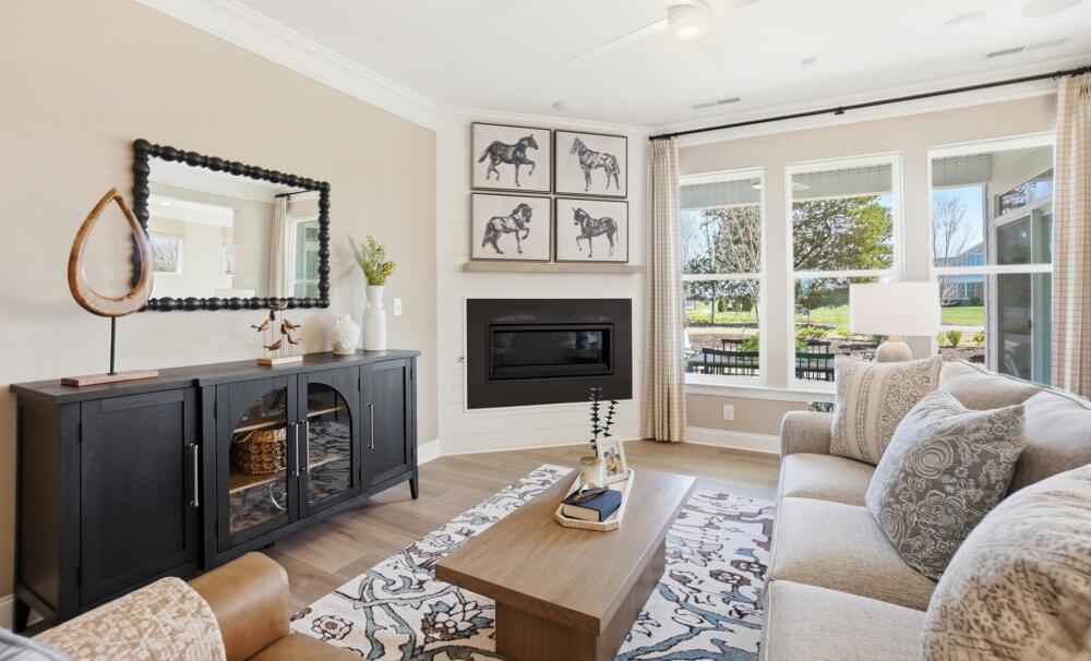 Naturally Lit Living Room