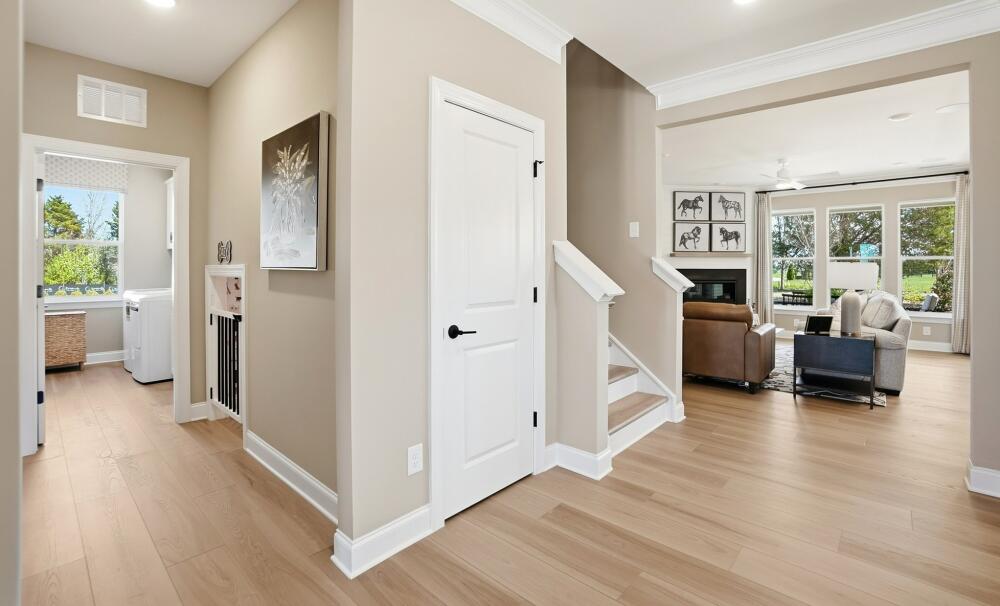 Free-Flowing Living Interior