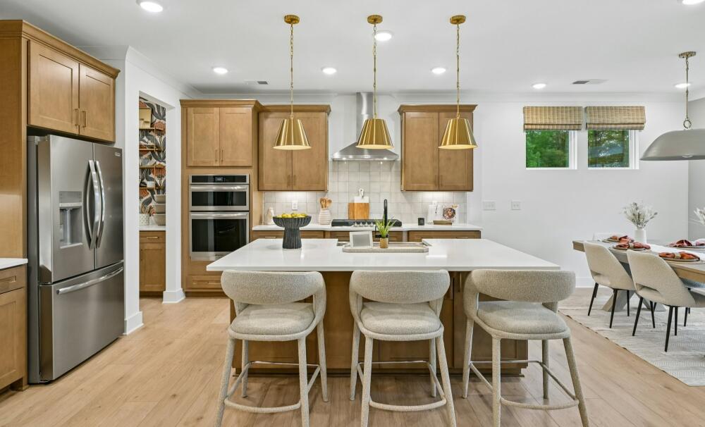 Elegant Dining Layout