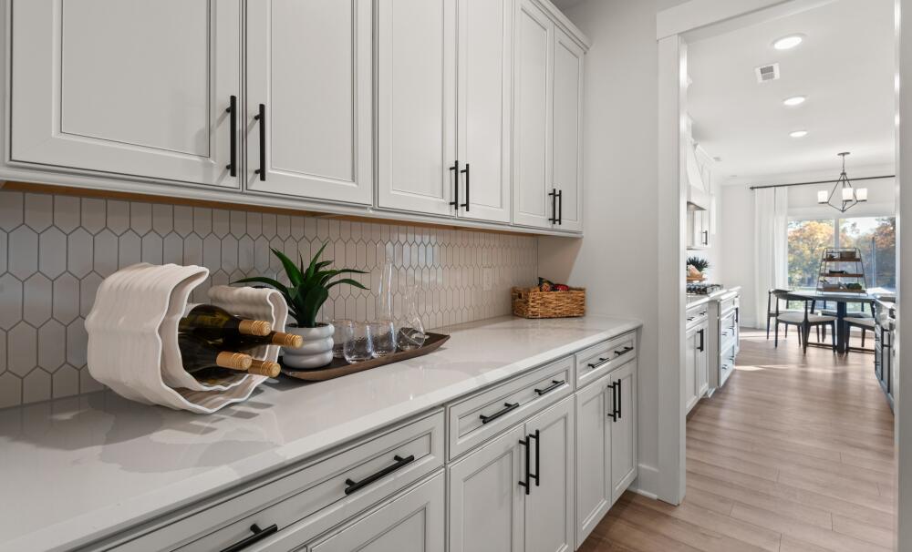 Expansive Storage Pantry