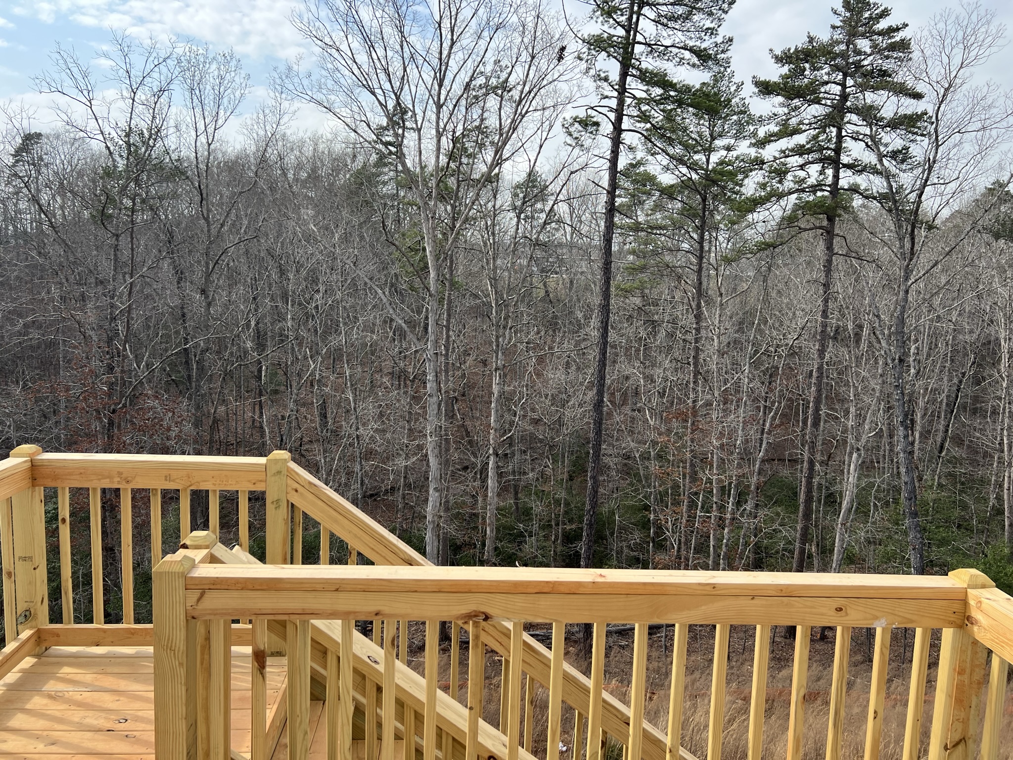 McDowell 070 New Construction Home in Greenville, SC Eastwood Homes