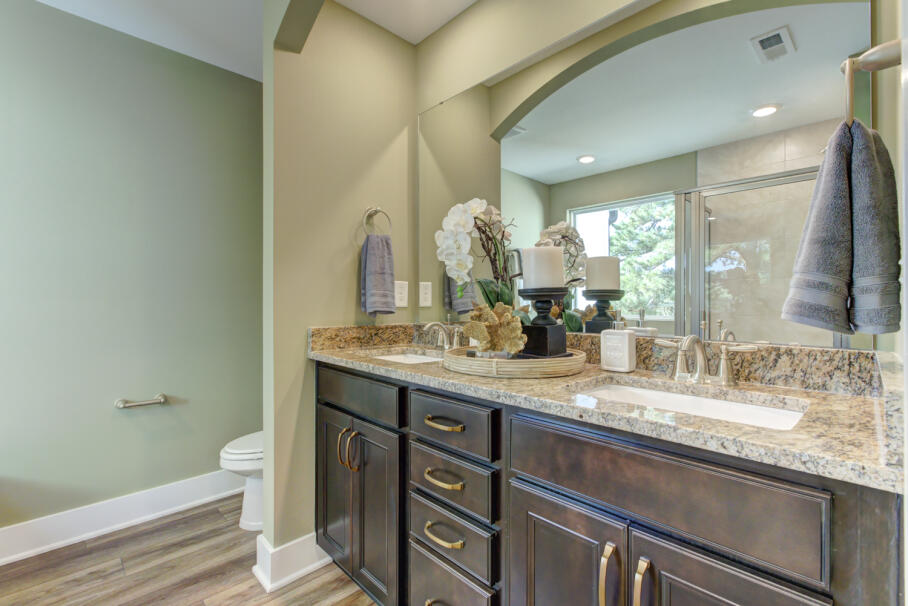 bathroom vanity