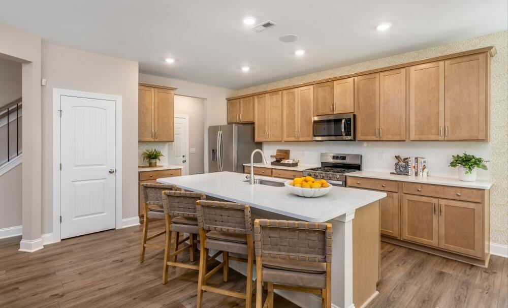 Modern Gourmet Kitchen