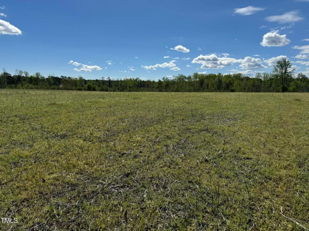 9485 Lot 3 N C 39 Highway , Middlesex, NC