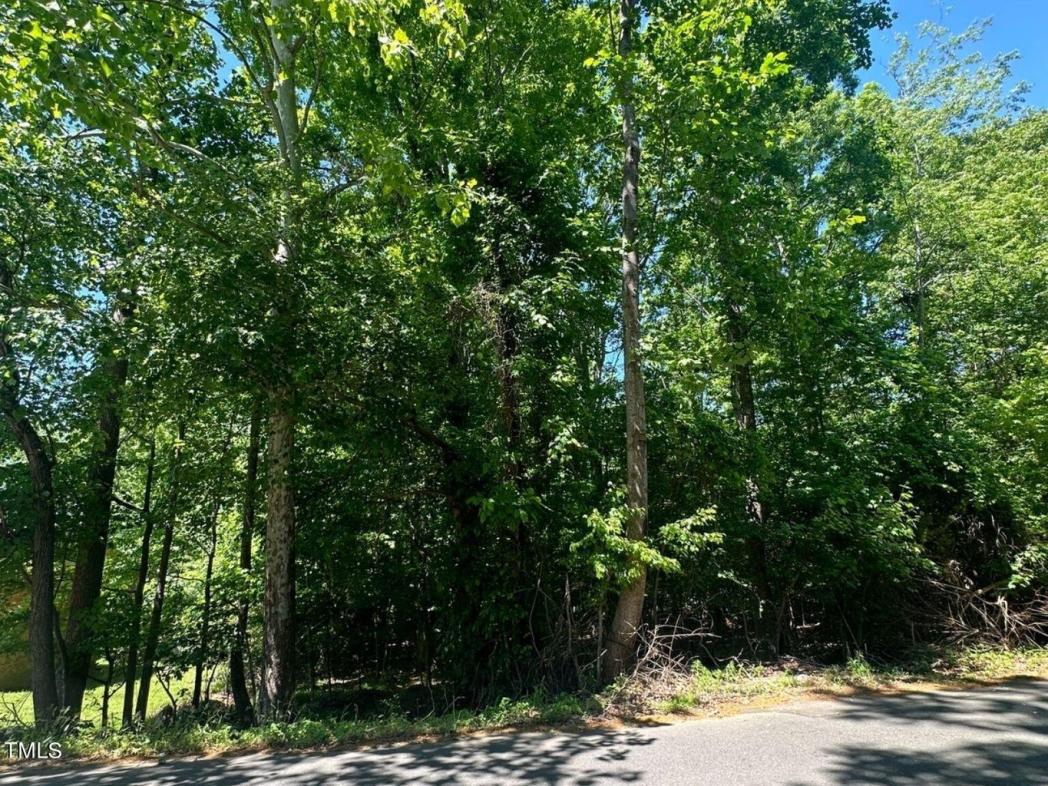 Lot 47 Susanne Drive, Haw River, NC