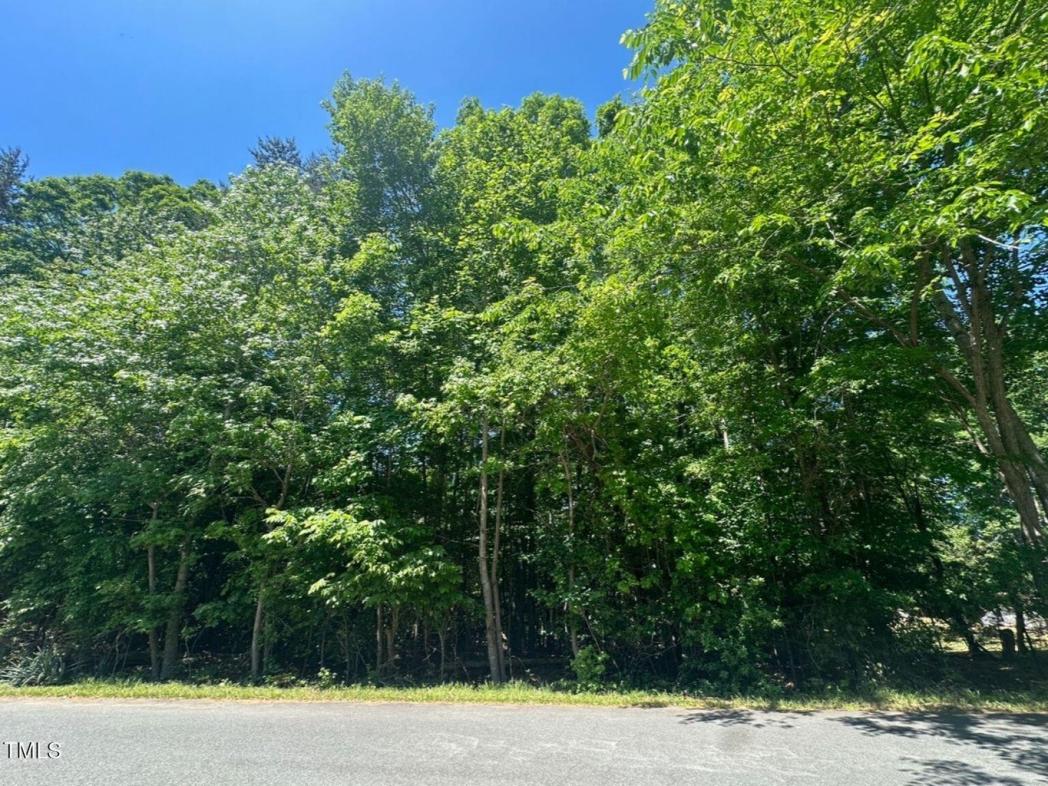 Lot 45 Susanne Drive, Haw River, NC