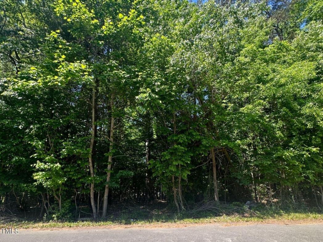 Lot 46 Susanne Drive, Haw River, NC