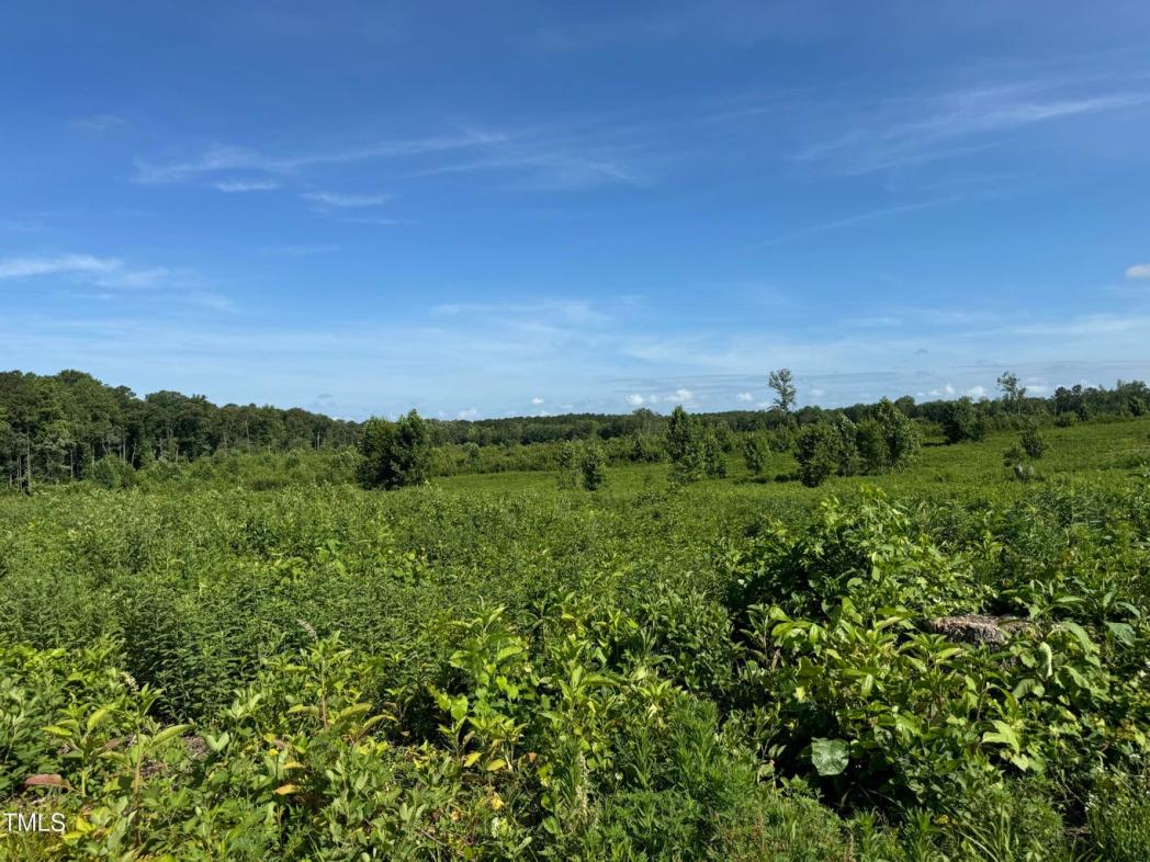 9485 Lot 6 N C 39 Highway , Middlesex, NC
