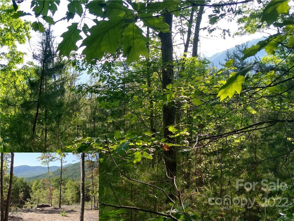 Lot 221 Davids Drive, Lake Lure, NC