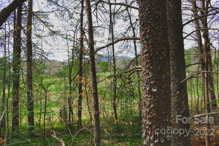 0 Westridge Drive, Lake Lure, NC