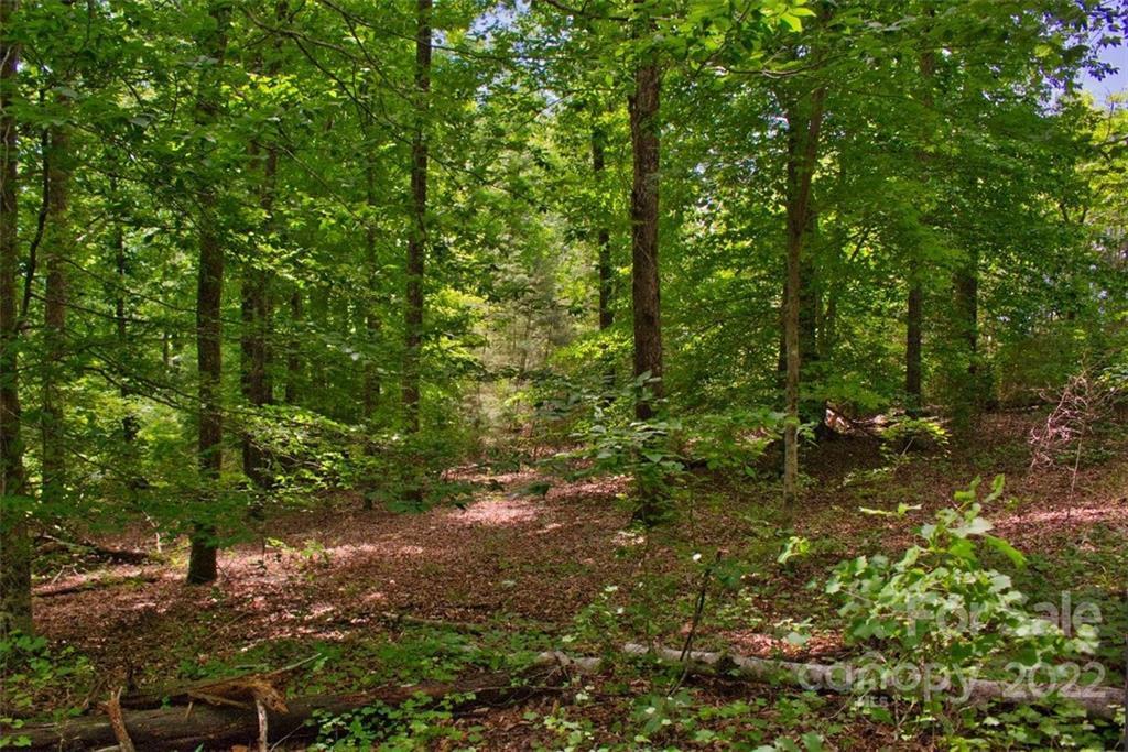 0 Midnight Pass, Rutherfordton, NC