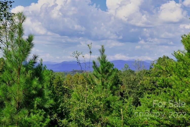 0 Talia Drive, Rutherfordton, NC