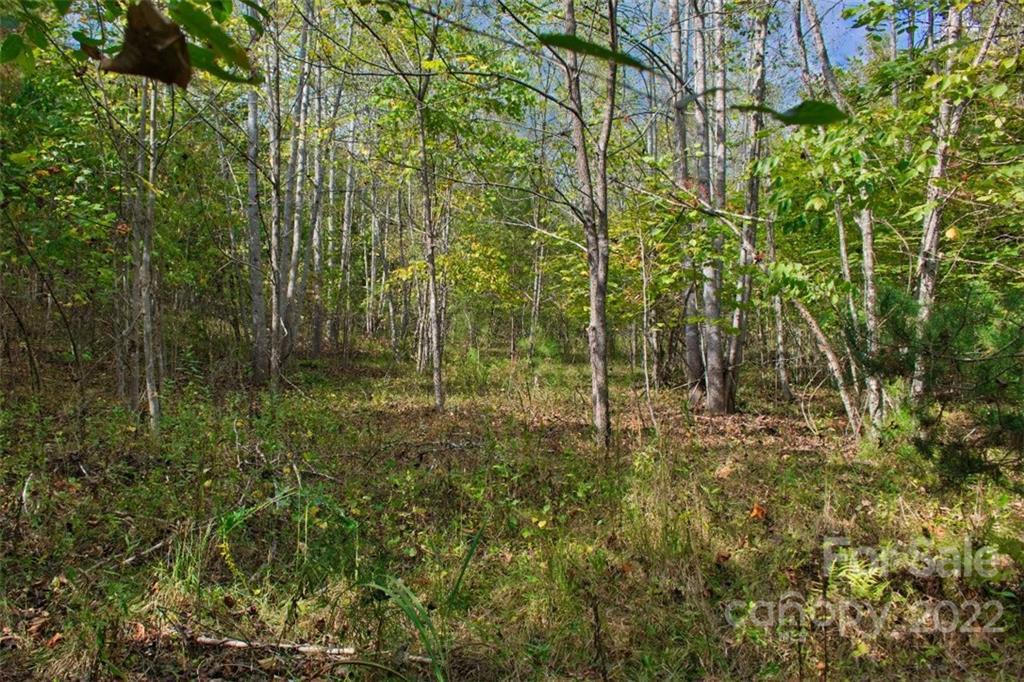 0 Chimney Creek Lane, Rutherfordton, NC