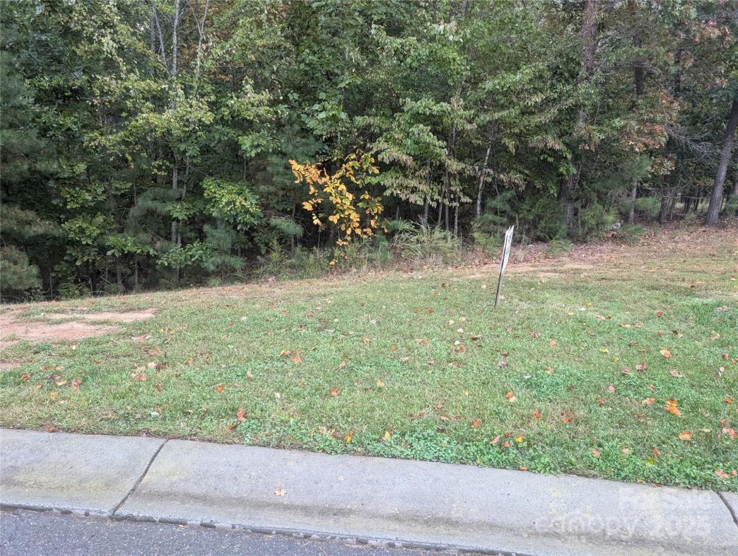 2274 Tully More Drive, Landis, NC