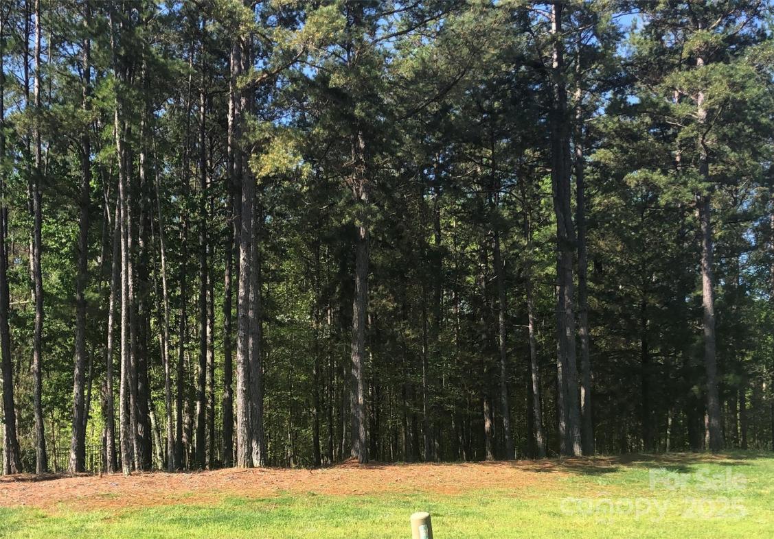 6157 Volte Drive, Mint Hill, NC