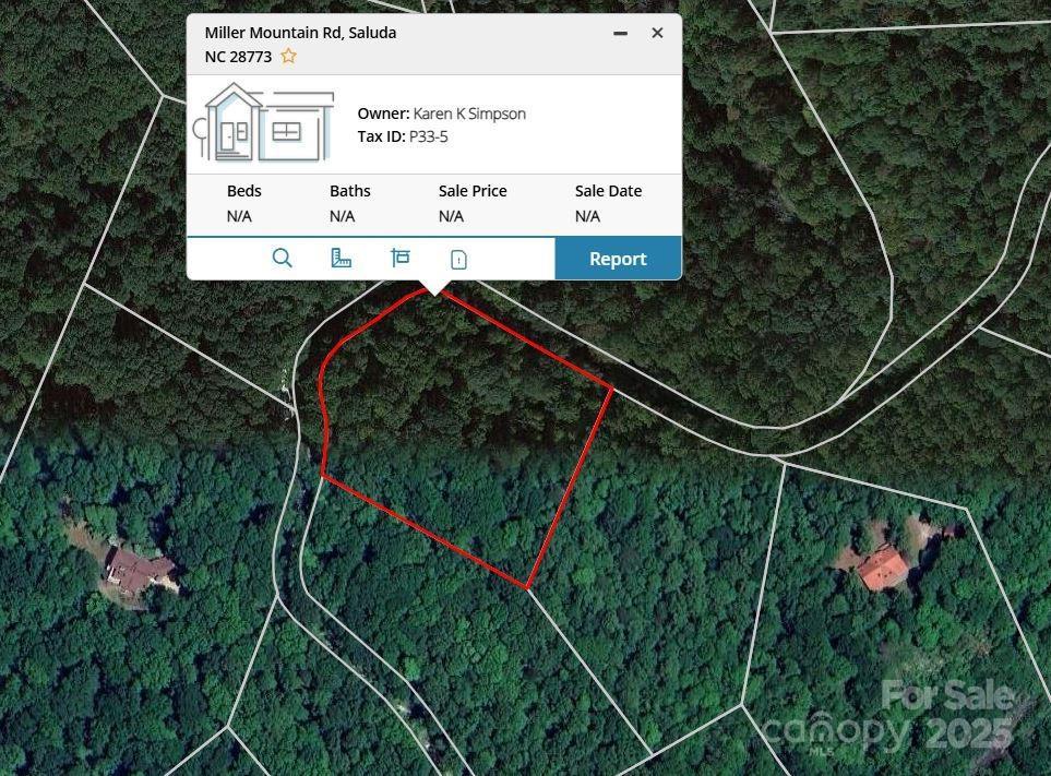 0000 TBD Miller Mountain Road, Saluda, NC