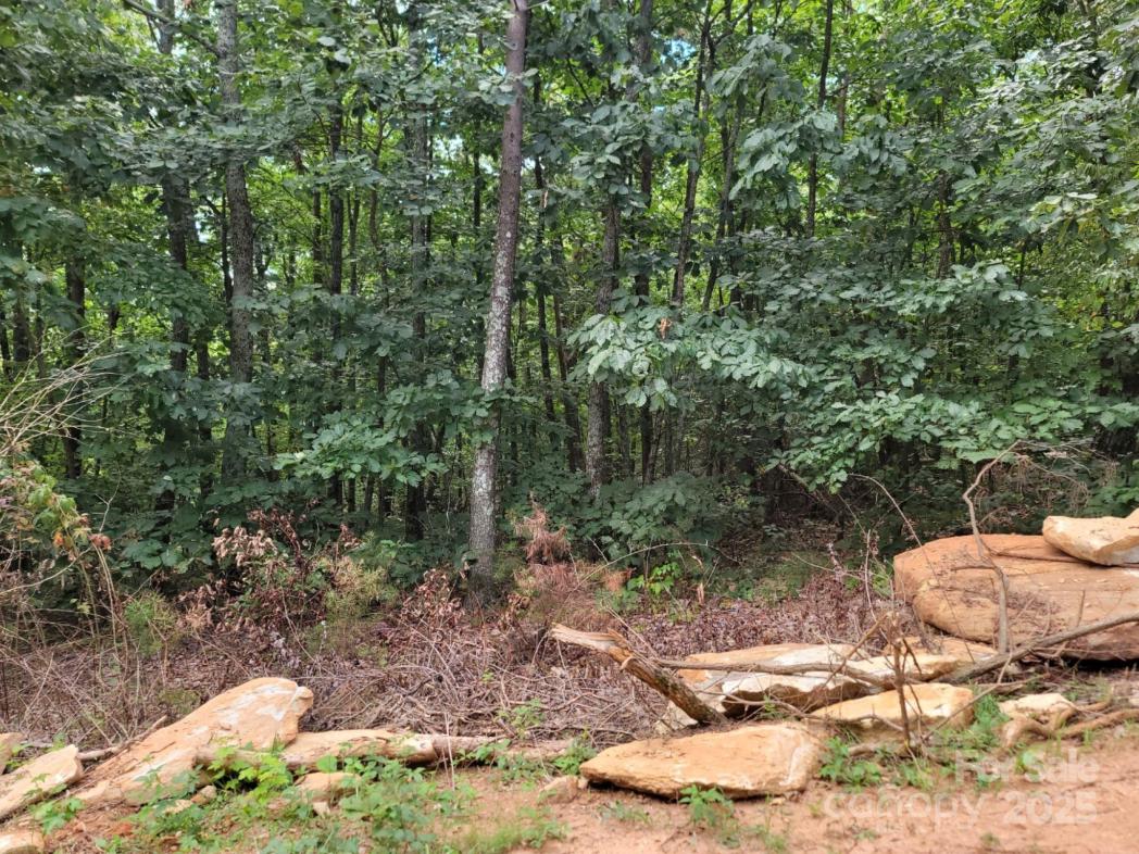 219 Judy Road, Casar, NC