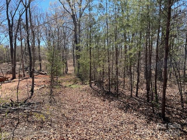 0 Walkaloosa Way, Mooresboro, NC