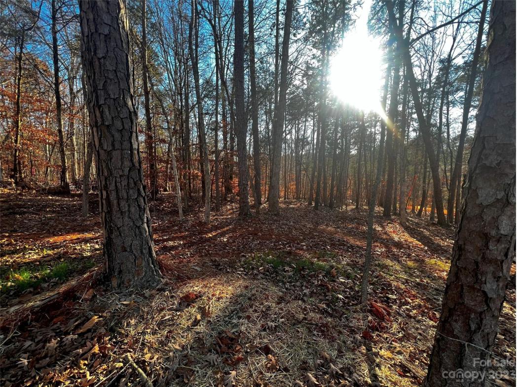 157 Copper Pine Lane, Davidson, NC