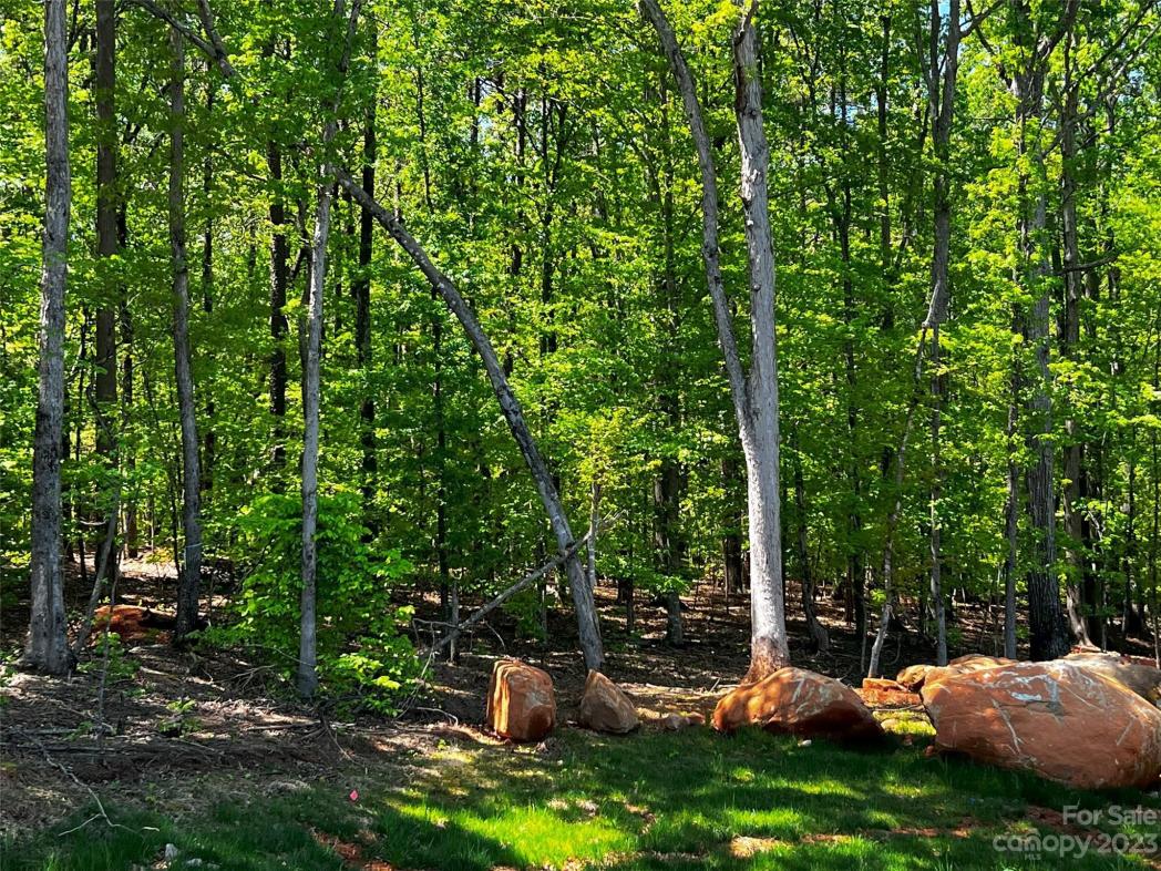 130 Copper Pine Lane, Davidson, NC