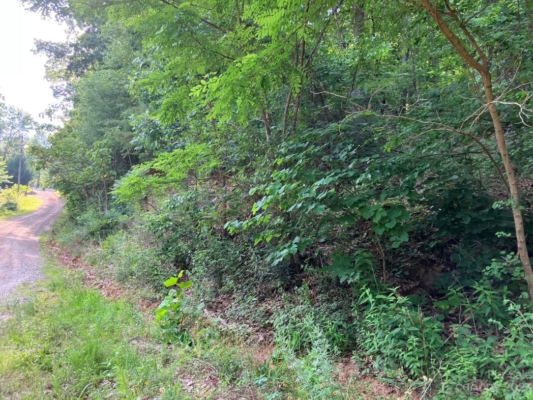 00 Roberts Trail, Lake Lure, NC