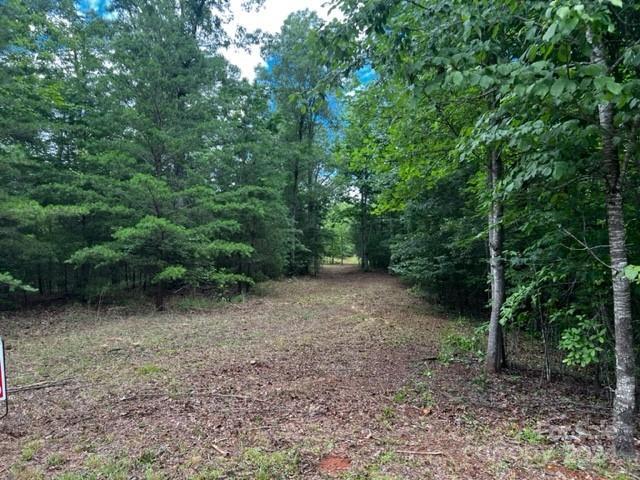 46 Park Lane, Mill Spring, NC