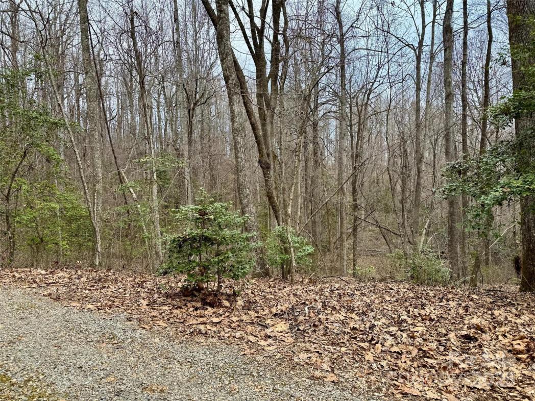 000 Orchard Mountain Road, Saluda, NC