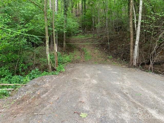 42.16 ACS GREEN RIVER COVE Road, Saluda, NC