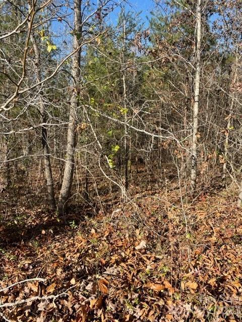 0 Holly Forest Drive, Rutherfordton, NC