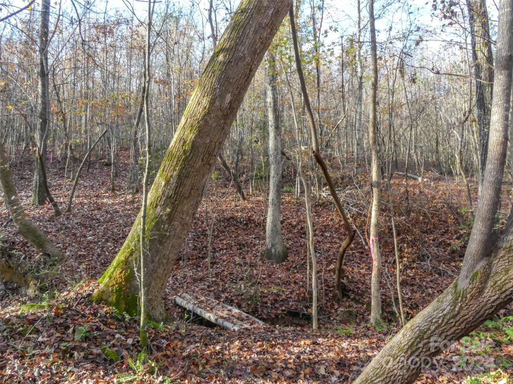 0 Stateline Road, Mooresboro, NC