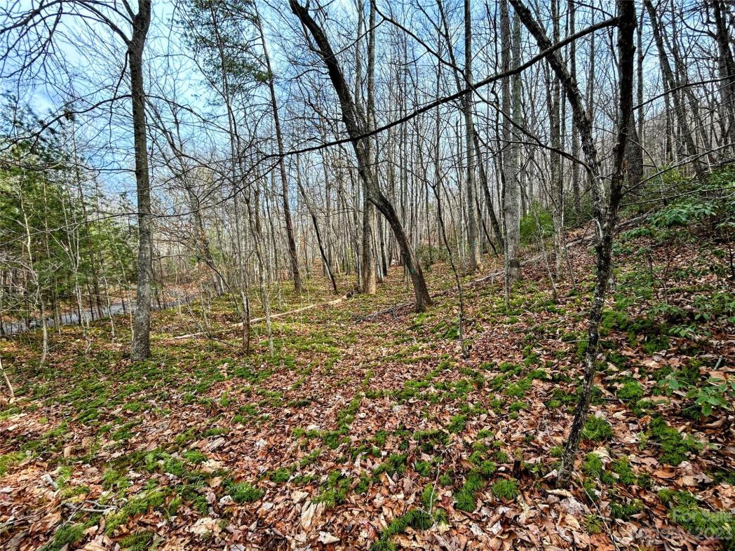 Lot 7 Azalea Way, Saluda, NC