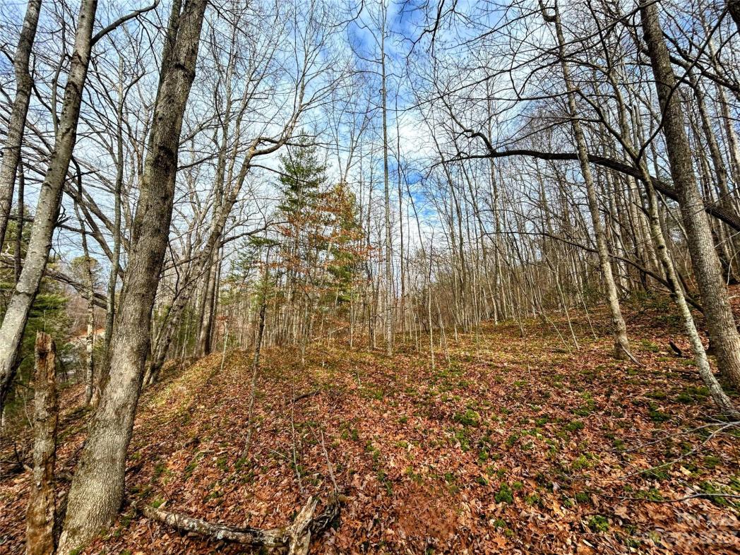 Lot 8 Azalea Way, Saluda, NC