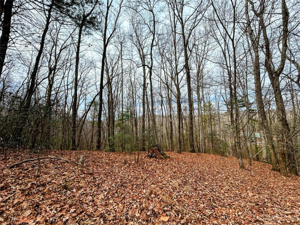 Lot 11 Rhododendron Drive, Saluda, NC