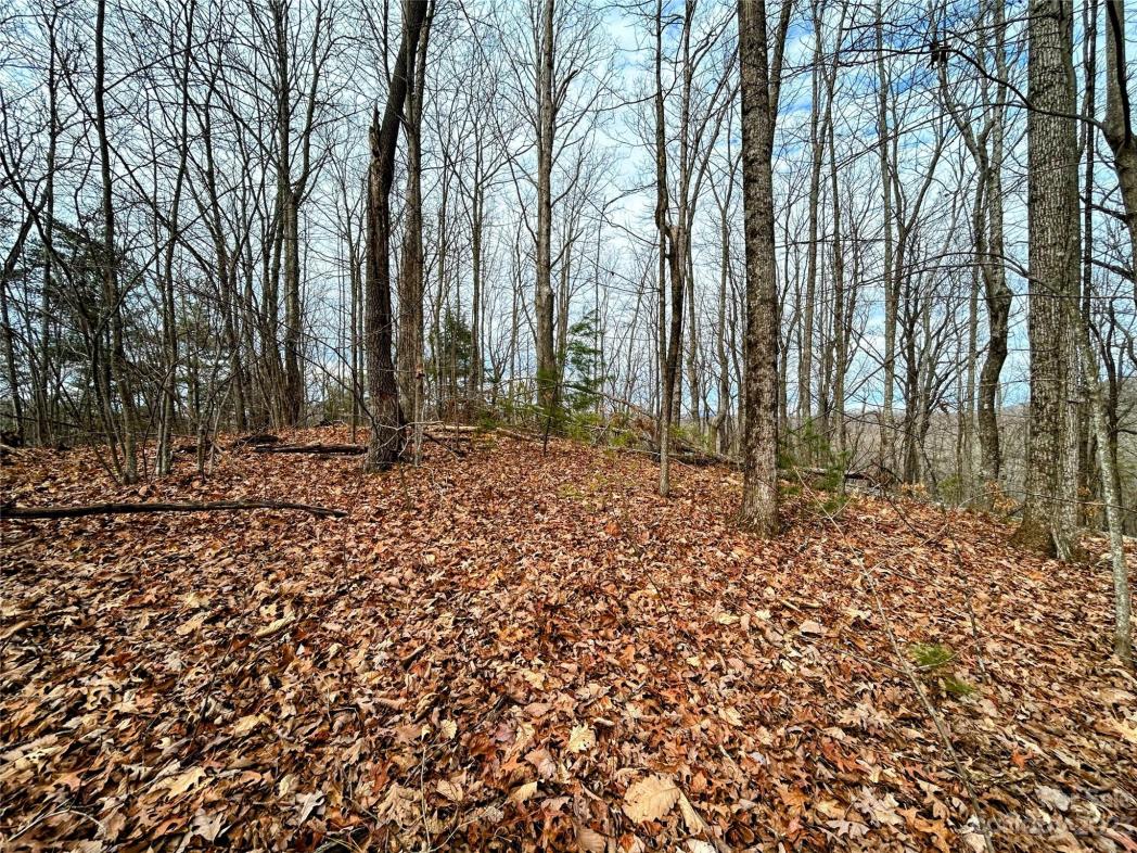 Lot 12 Rhododendron Drive, Saluda, NC
