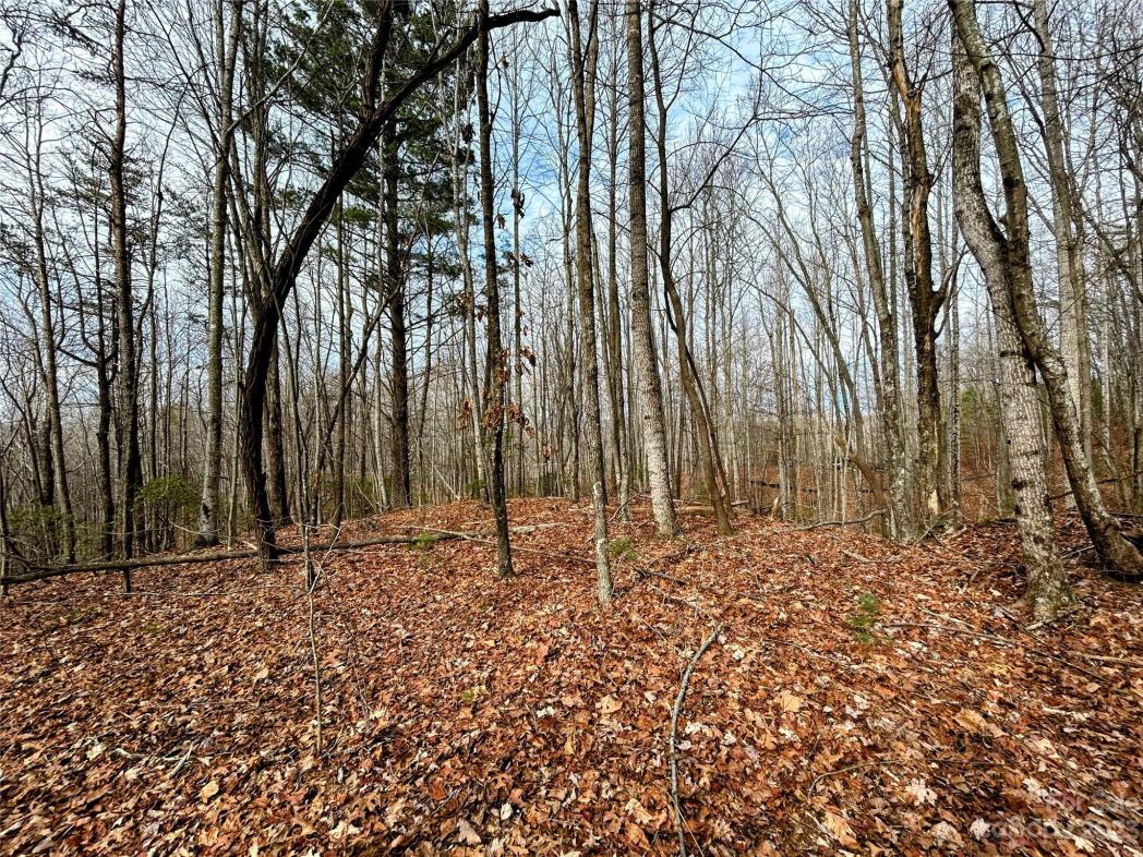 Lot 14 Rhododendron Drive, Saluda, NC