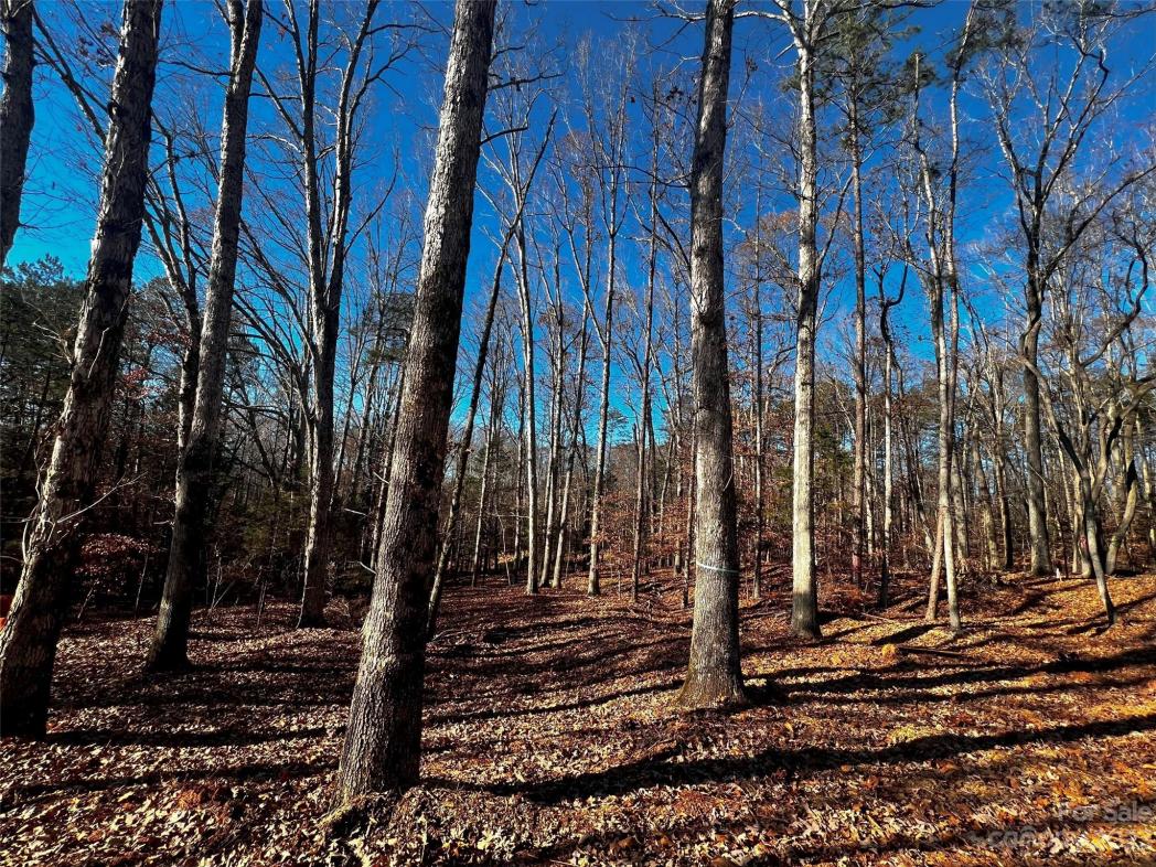 150 Copper Pine Lane, Davidson, NC