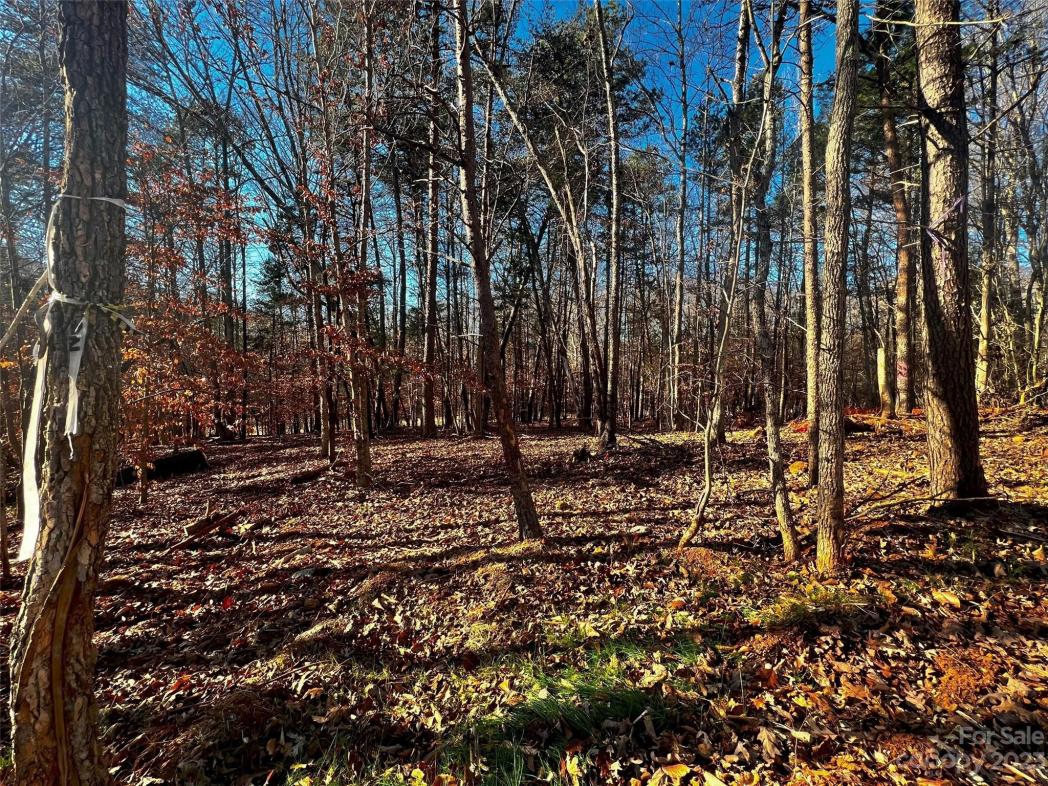 156 Copper Pine Lane, Davidson, NC