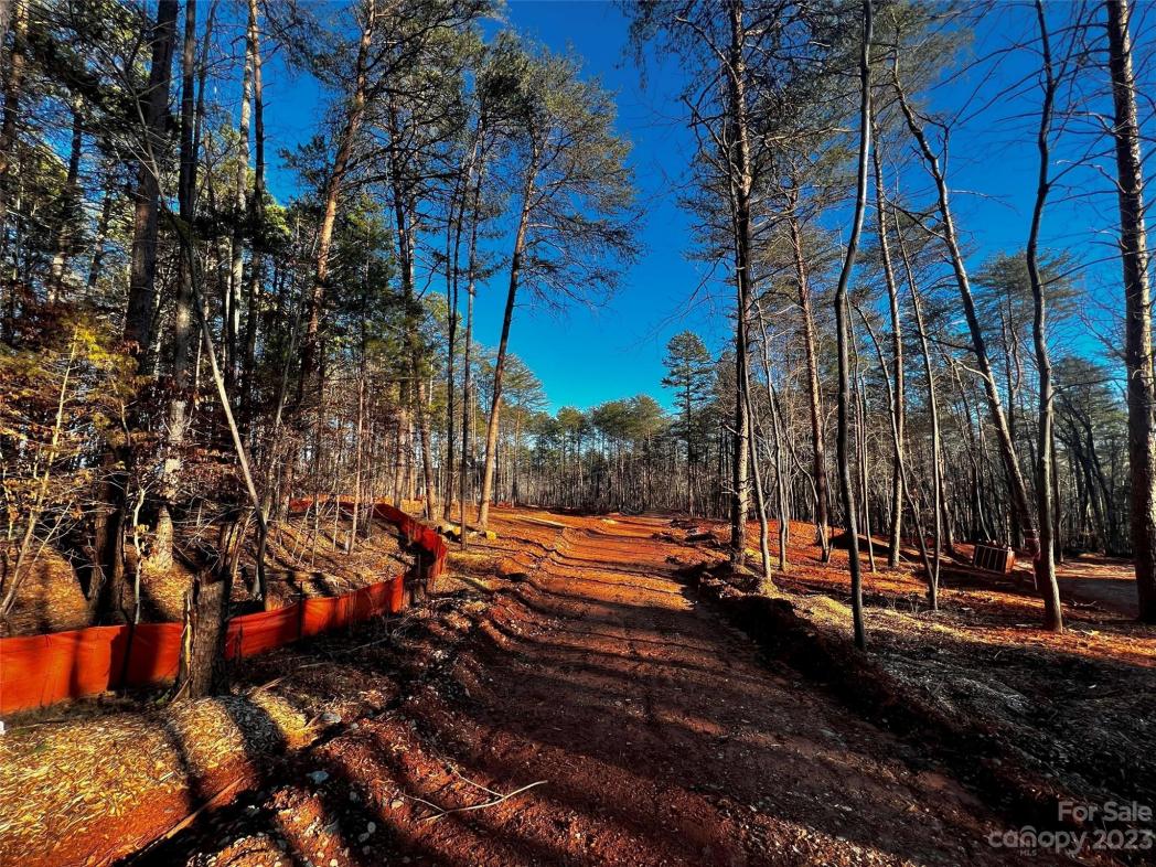 130 Hunt Camp Trail, Davidson, NC