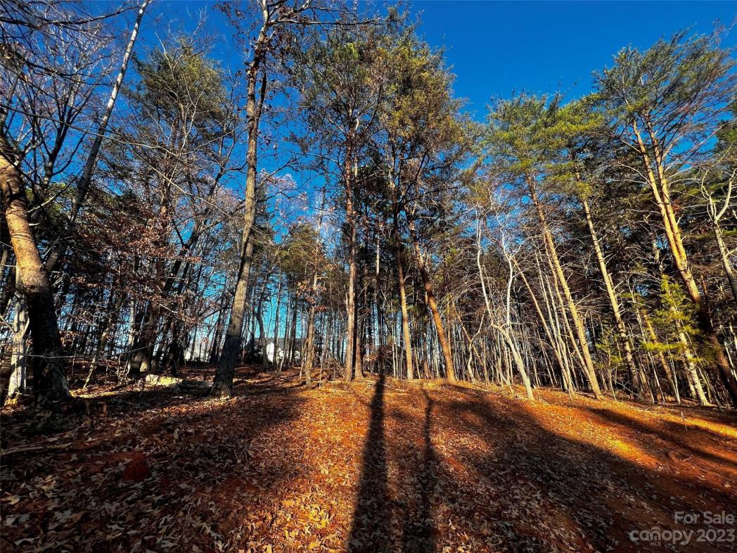 127 Hunt Camp Trail, Davidson, NC