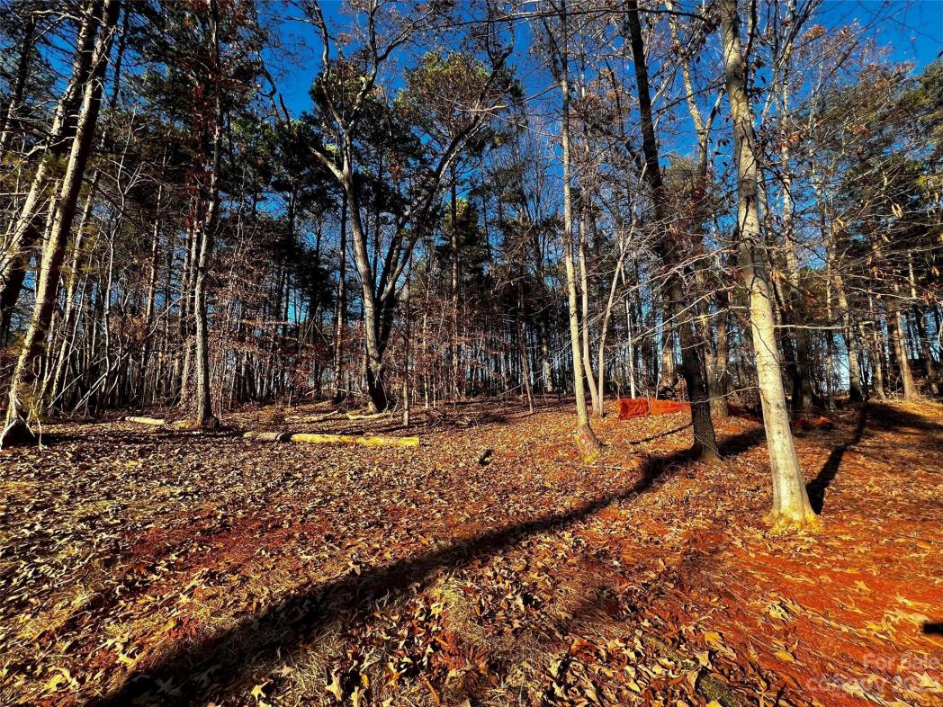 123 Hunt Camp Trail, Davidson, NC
