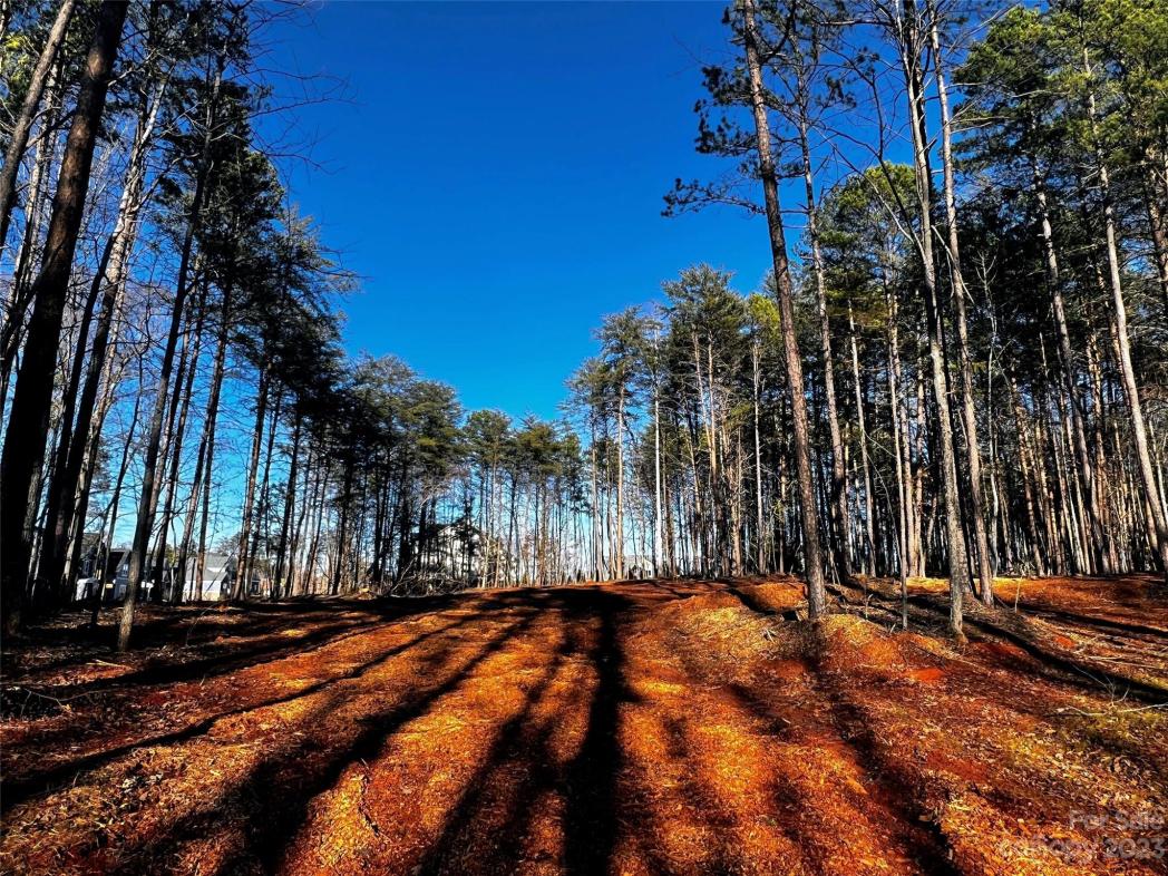 109 Hunt Camp Trail, Davidson, NC