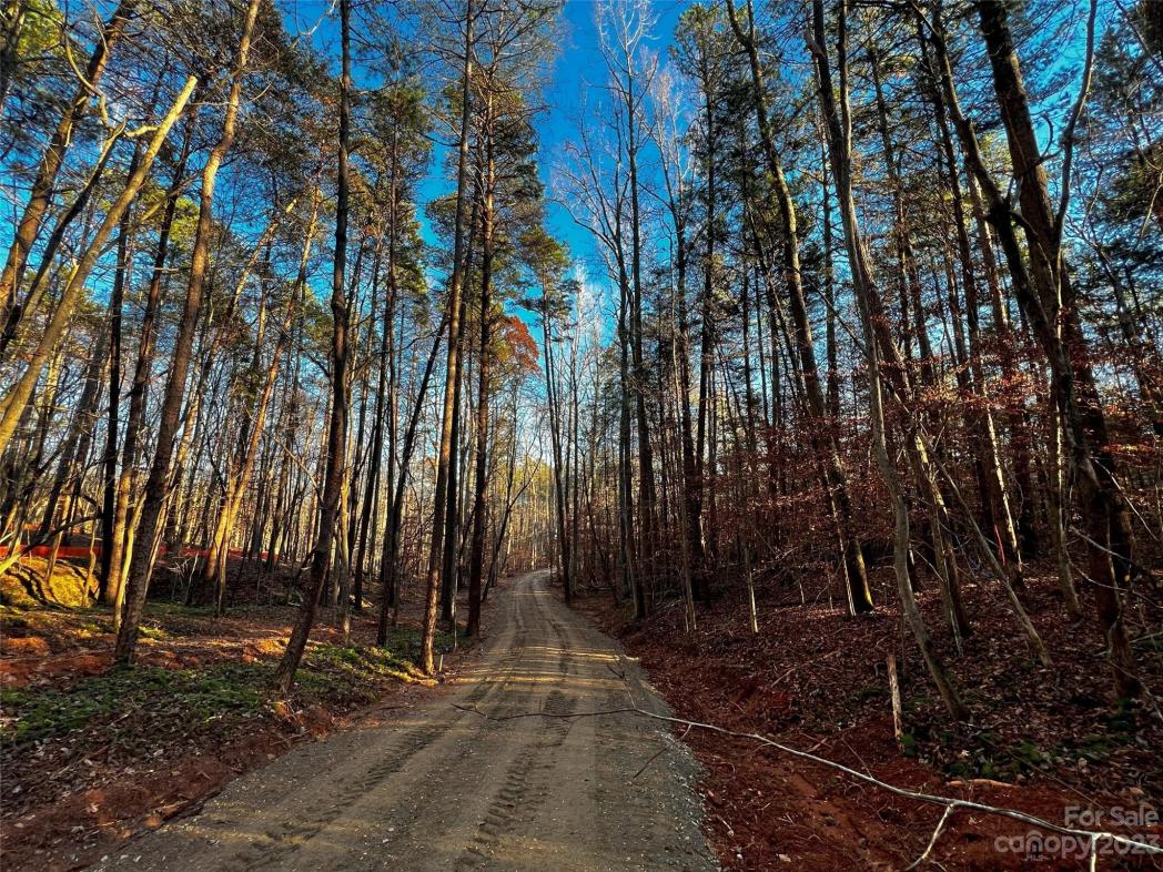 126 Hunt Camp Trail, Davidson, NC