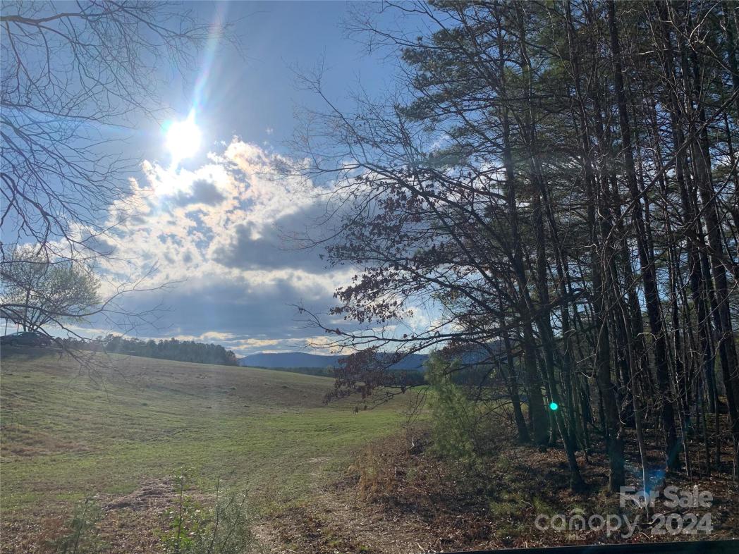 0 Lynch Road, Mill Spring, NC